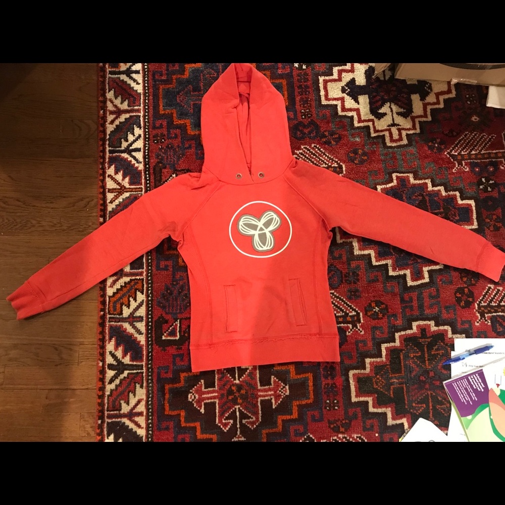 Aritzia - tna hoodie